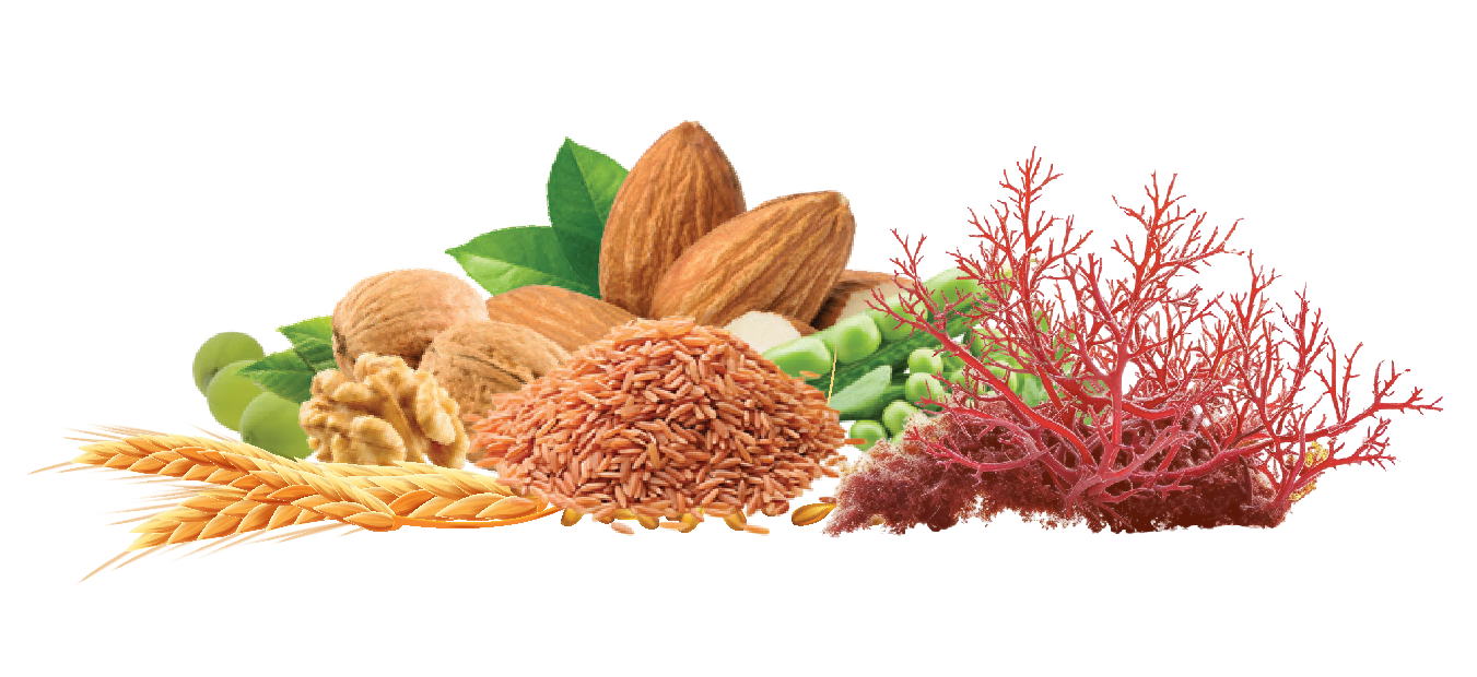 Các loại hạt ngũ cốc và tảo biển đỏ OcaNew Nut